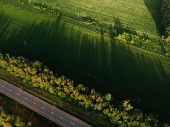 Aerial view of road by agricultural field