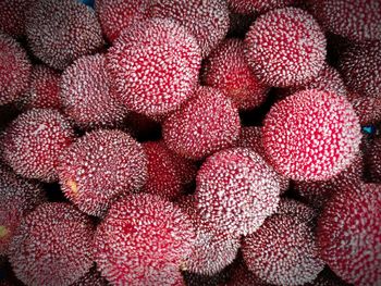 Full frame shot of bayberries