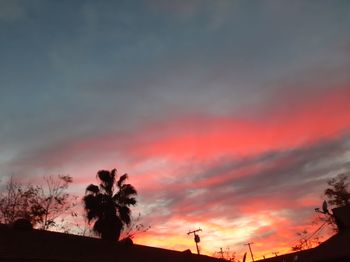 Low angle view of silhouette trees against dramatic sky