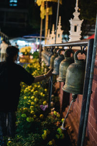 Rear view of people on flowering plants in city