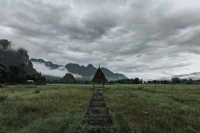 Green rice field and mountain background, vang vieng ,laos