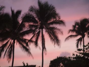 Low angle view of silhouette palm trees against sky