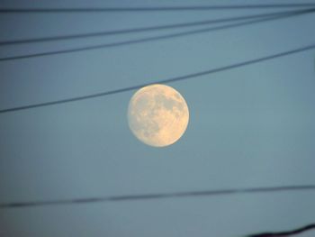 Low angle view of moon