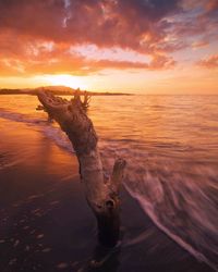 View beach during sunset