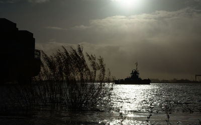 Silhouette plants by lake against sky