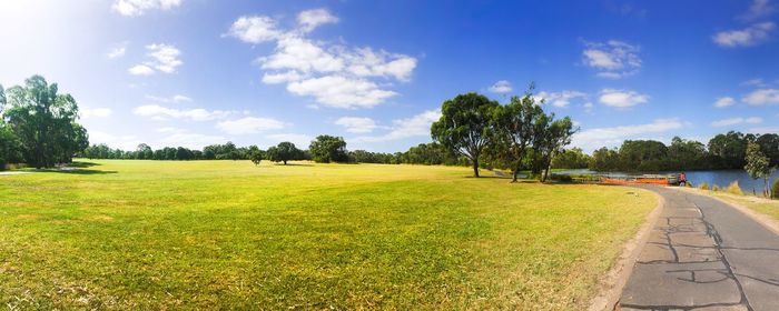 Sky and grass nature park panorama