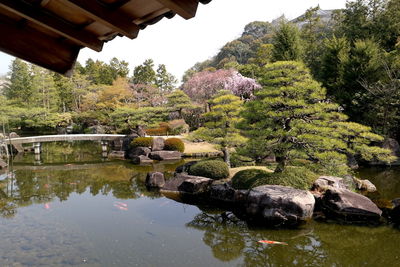 Scenic view of lake by trees