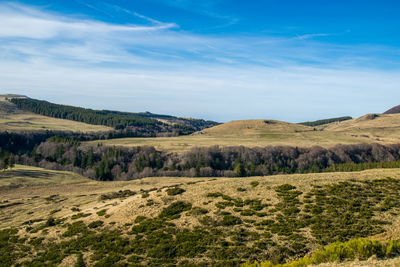 Scenic view of landscape against sky