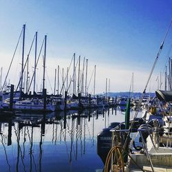 Boats in harbor