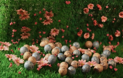High angle view of eggs by flowers on grassy field