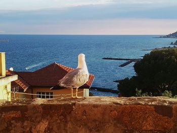 View of seagull by sea against sky