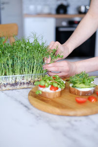 Woman preparing healthy sandwiches with microgreens and vegetables