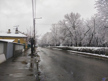 Wet road amidst bare trees during rainy season