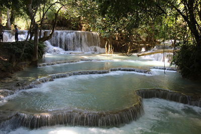 View of river flowing through forest