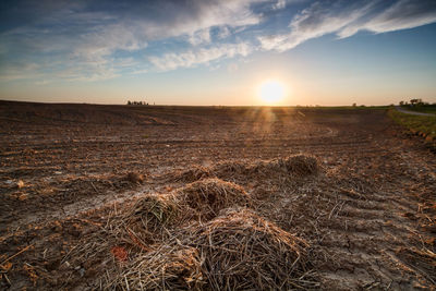 Scenic view of agricultural field against sky during sunset