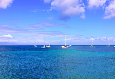 Sailboats in sea against sky