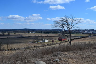 Bare trees on field against sky