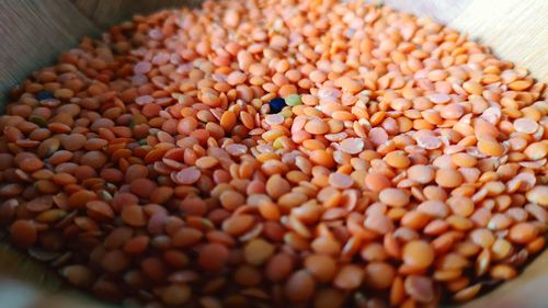 High angle view of eggs in container