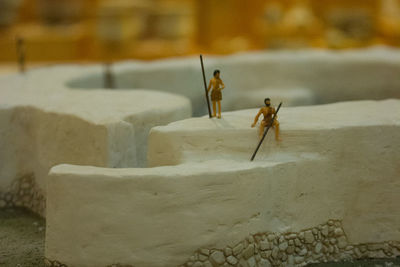 Close-up of insect on wall