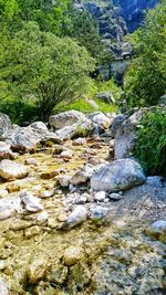 Stream flowing through rocks in forest