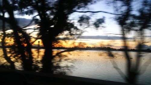 Reflection of trees in water at sunset