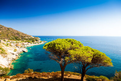 Scenic view of sea against clear blue sky