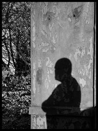 Rear view of boy standing against tree