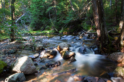 River flowing through rocks in forest