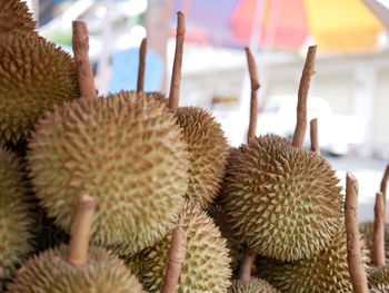 Close-up of fruits growing in market