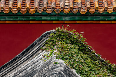 Low angle view of red roof against building