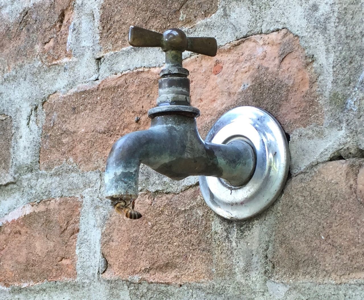 CLOSE-UP OF FAUCET ON METAL