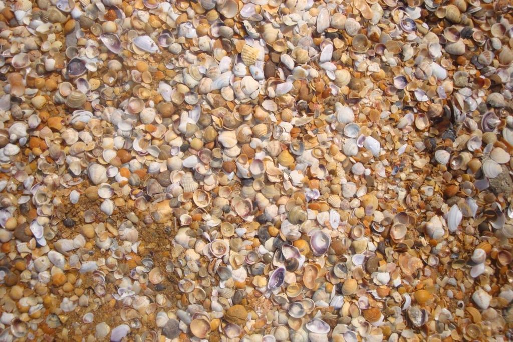 FULL FRAME SHOT OF PEBBLES ON BEACH