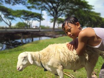 Smiling boy with sheep standing on grass