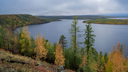 Scenic view of trees by lake against sky