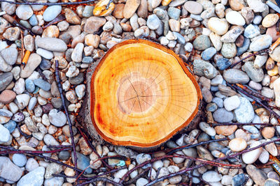 Pebbles and stump . wood and white stones