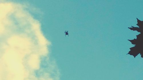 Low angle view of two birds flying in sky