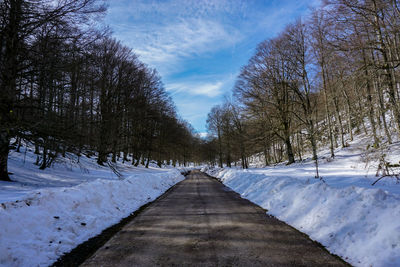Dirt road leading to snow covered trees against sky