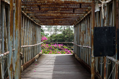 View of potted plants