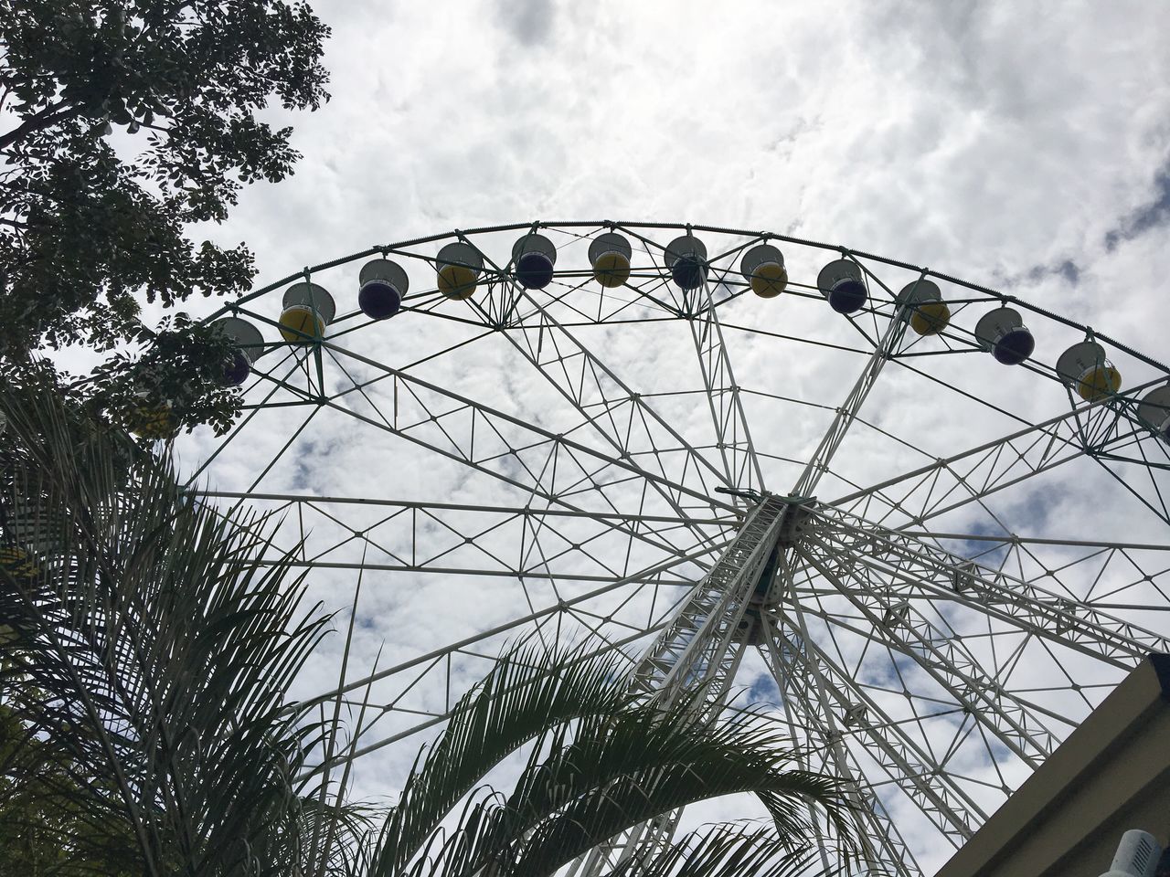 LOW ANGLE VIEW OF FERRIS WHEEL BY TREE AGAINST SKY