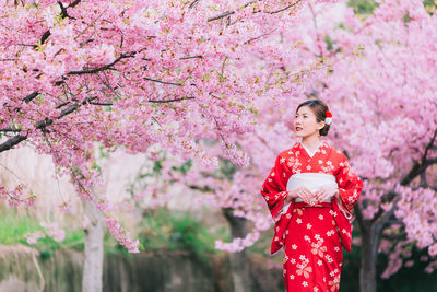 Woman in kimono standing against pink cherry blossoms