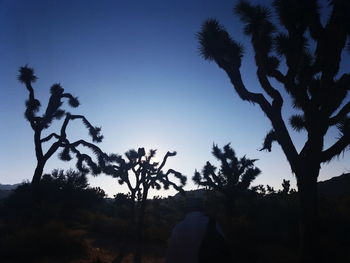 Low angle view of silhouette trees against clear sky