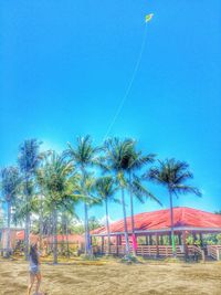 Palm trees against blue sky