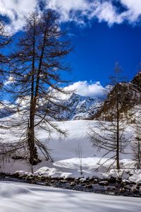 Snow covered land and trees against sky