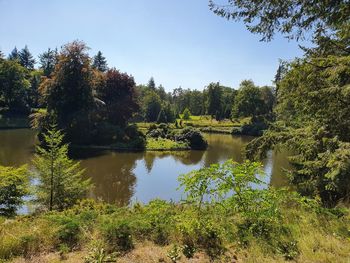 Scenic view of lake in forest against sky