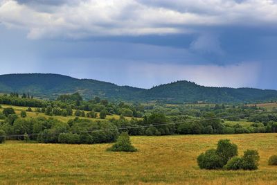 Scenic view of field against sky