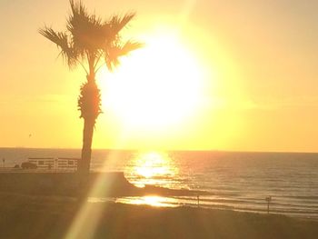 Silhouette palm tree by sea against sky during sunset