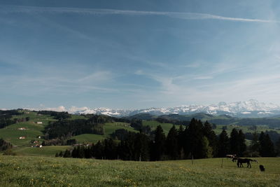 Scenic view of landscape against sky