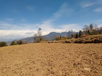 Scenic view of field against sky