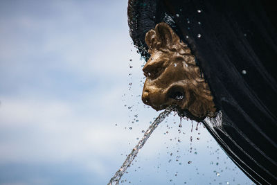 Low angle view of wet giraffe against sky