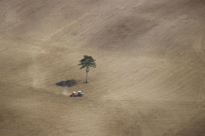 High angle view of man walking on sand